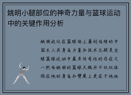 姚明小腿部位的神奇力量与篮球运动中的关键作用分析