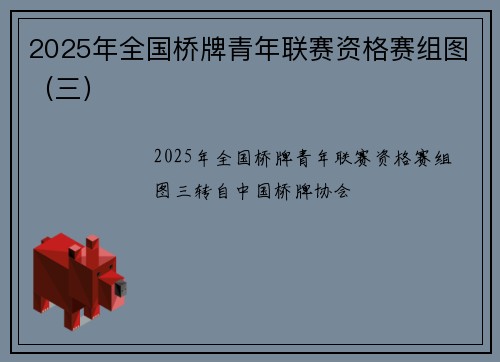 2025年全国桥牌青年联赛资格赛组图（三）